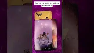 your partner's current feelings #collectivereading #tarot #nocontactreading #timeless #shorts #viral