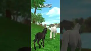 New Star Coin codes in Star Stable! #shorts #starstable #gaming #horse