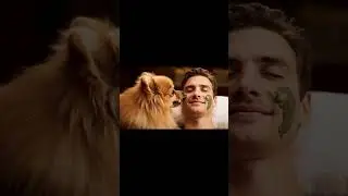 Cutest Dog Reactions to Bath Time Ever!#shorts #shortsfeed #funny #comedy