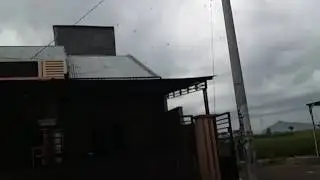 Suara panggil walet terampuh 😲