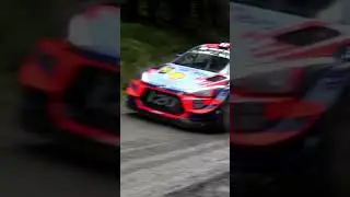 RALLY CAR - FULL SEND!! Insane high speed rally car pass - WOW!!!