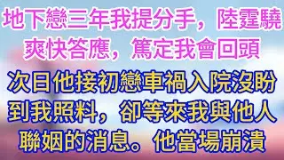 地下戀三年後我提分手，陸霆驍爽快答應，篤定我會回頭。次日他接初戀車禍入院，沒盼到我照料，卻等來我與他