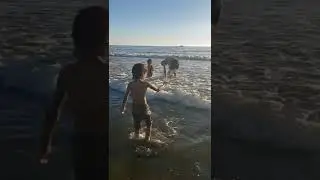at the beach with Tyler Hoff and the kids