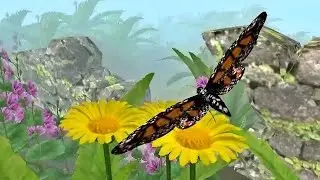 Butterfly Game Online -Life Of Butterfly- Android - Gameplay