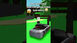 epes patos kaza %100 ger&ccedil;ek (valla)
