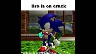 Bro officially lost it.. #sonic #memes