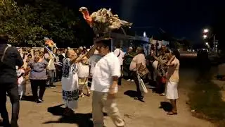 Baile de la Cabeza de Cochino y el Pavo. Jarana 