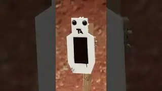 Do Steel Targets shoot back?