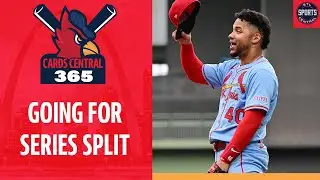 St Louis Cardinals Look for Series Split Against Brewers | Cards Central 365