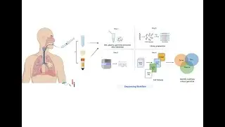 Bronchoalveolar lavage (BAL) diagnostic procedure; Definition, Uses, Benefits, Risks