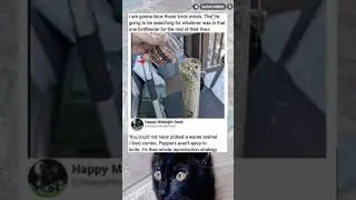 This spicy bird feeder idea makes no sense #shorts #funny