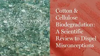 Webinar: Cotton & Cellulose Biodegradation: A Scientific Review to Dispel Misconceptions