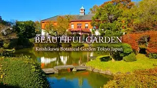 BEAUTIFUL GARDEN for relaxing & healing Koishikawa Botanical Garden Tokyo Japan｜4K