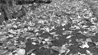 DotnetTutorial
