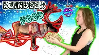 DIY REINDEER FOOD VS REAL OATS + HOW TO MAKE! CHRISTMAS FUN PART 2