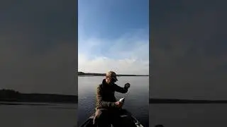 Клюнув в прямому ефірі Рибалка на Сорокошича по судаку ч. 405 #bestfishing #жорсудака #київрибалка
