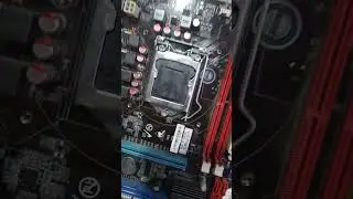 Материнская плата esonic cbl h55 eco