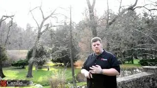 Setting Exposure in Backlit Scene - Photography Quick Tip