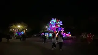 St Louis Zoo 2024 Animals Aglow Lantern Festival - Part 5