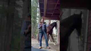 Como sacar el peso de mi caballo sin bascula