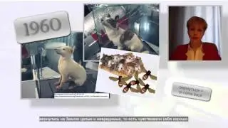 Learn Russian from Russia: Cosmonautics Day