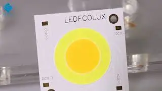 LED COB Chips