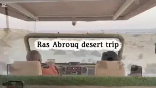  Film City Drive & Oryx Wildlife Near Our Habitas Ras Abrouq 
