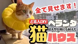 😸ど素人が手作り😸手作りベランダ猫ハウス！大型台風にも耐えてくれました！