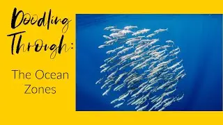 Doodling Through the Ocean Zones: CC Cycle 1 Week 19 Science Foundations Supplement