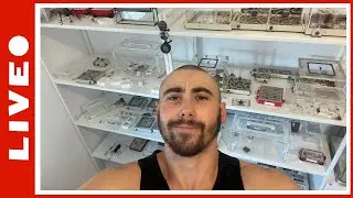 Nourrissage et entretien des grosses colonies de Camponotus [Rediff live 01/08/2024]