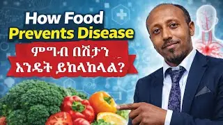 How Food Prevents Disease | ምግብ በሽታን እንዴት ይከላከላል?