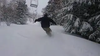 Moss Snowboard KING | Powder 2