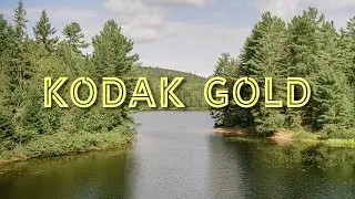 Shooting Kodak Gold in the summer