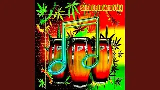 Voy Pa' lante