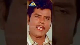 #paandinaattuthangam #karthik #nirosha #ilaiyaraaja #tpgajendran #pyramidcomedyclips