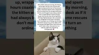 Ohio, 2023. A Librarian Heard Meowing in the Warehouse &mdash; THEN She Found a Tiny Kitten 🐾📚