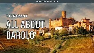 All you need to know about Barolo wine | Tannico