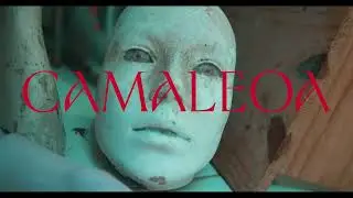 Camaleoa (Curta-metragem) - Trailer Oficial