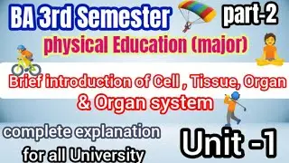 Brief introduction of Cell Tissue Organ and Organ system/ BA 3rd semester/Unit-1/part-2 #ba...