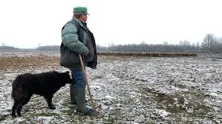 Hungría sacudida por el escándalo del presunto reparto clientelar de tierras a gran escala