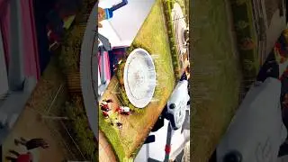 Dji air 3s view 🤠😲#shorts #viral #drone