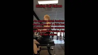 Seated Calf Raises