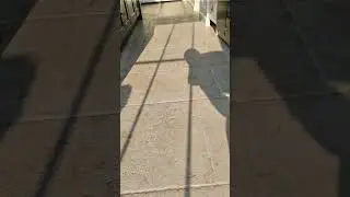 Limestone Floor Clean | Before & After
