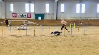 Shadow of Aire Will It Snow Agility