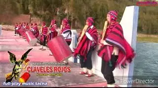 Dios mio claveles rojos de huancané
