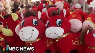 Why a 'crying horse' toy is going viral in China
