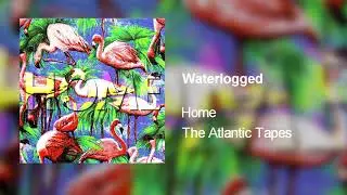 Home - Waterlogged