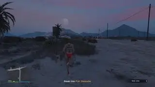 Grand Theft Auto V extraction