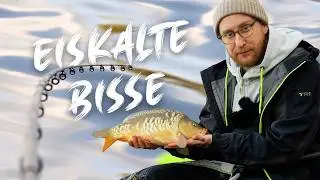 Biss auf Biss - So f&auml;ngst Du trotz kalten Temperarturen