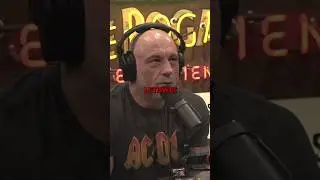 He's The King of Lethwei - Joe Rogan